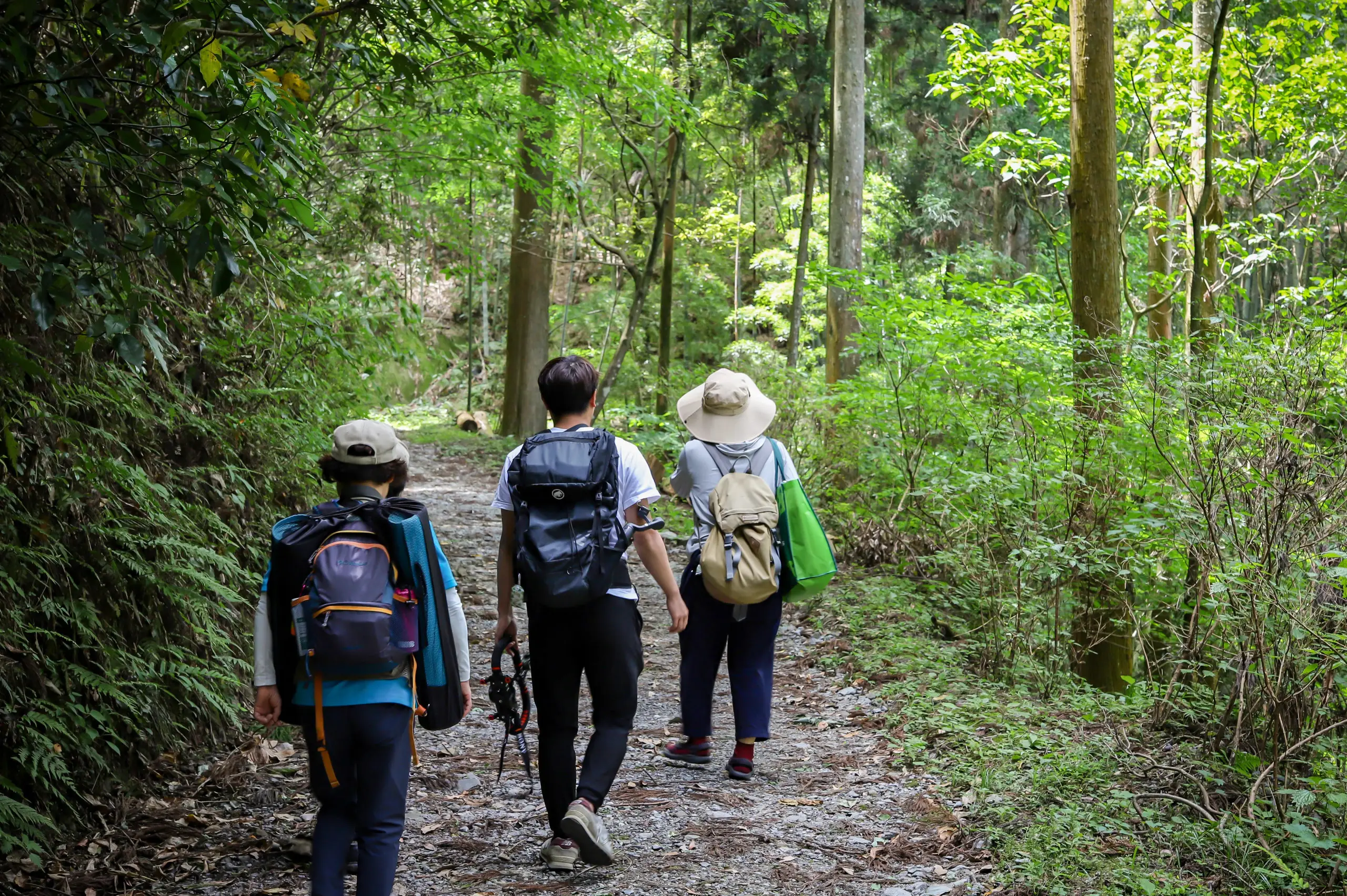 Forest Therapy