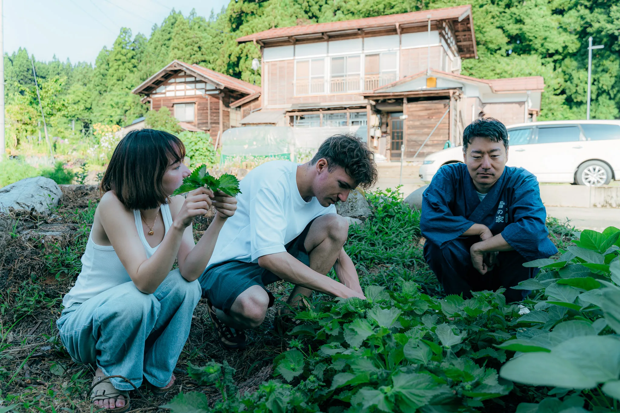 Picking vegetables in the backyard