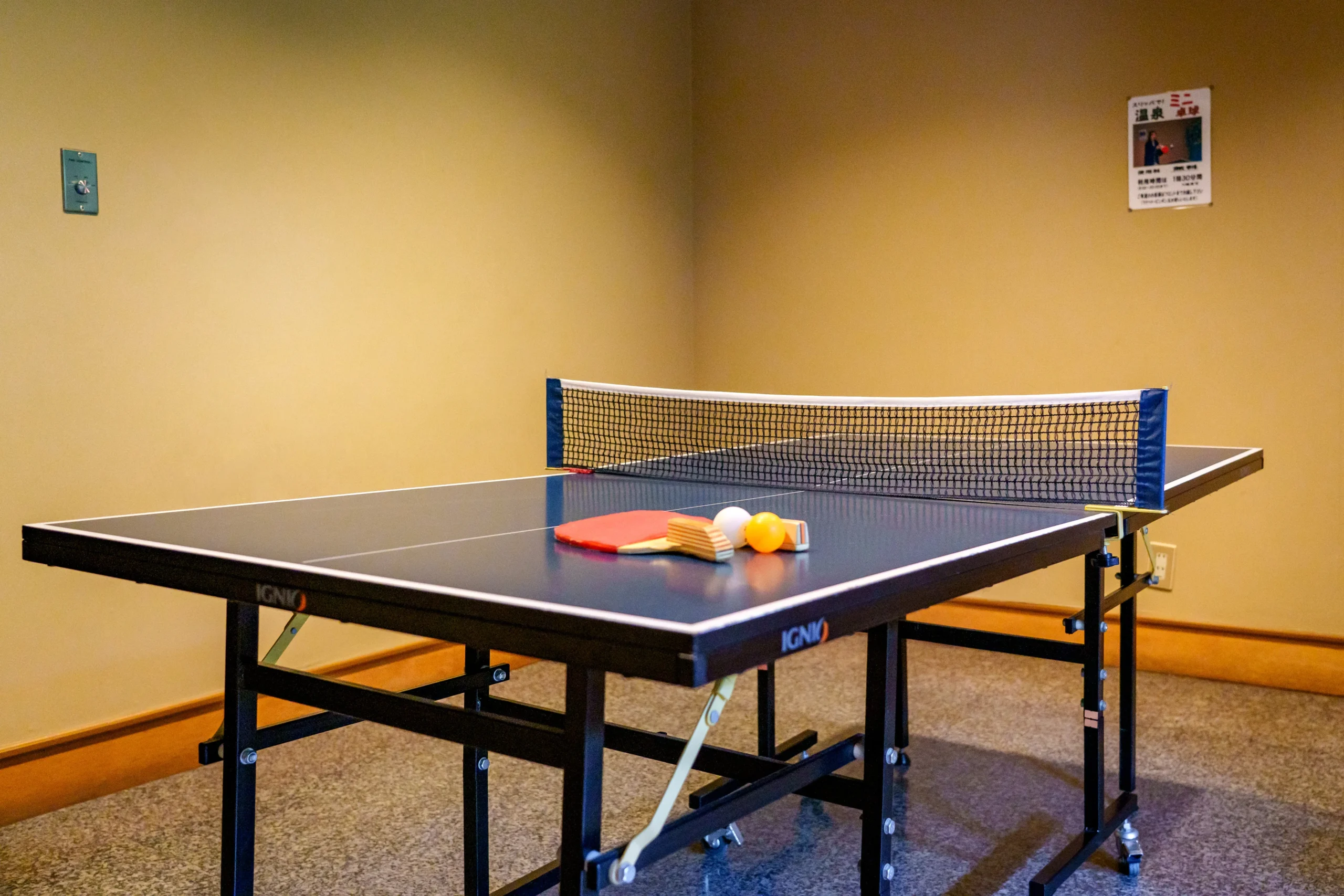 Table tennis area