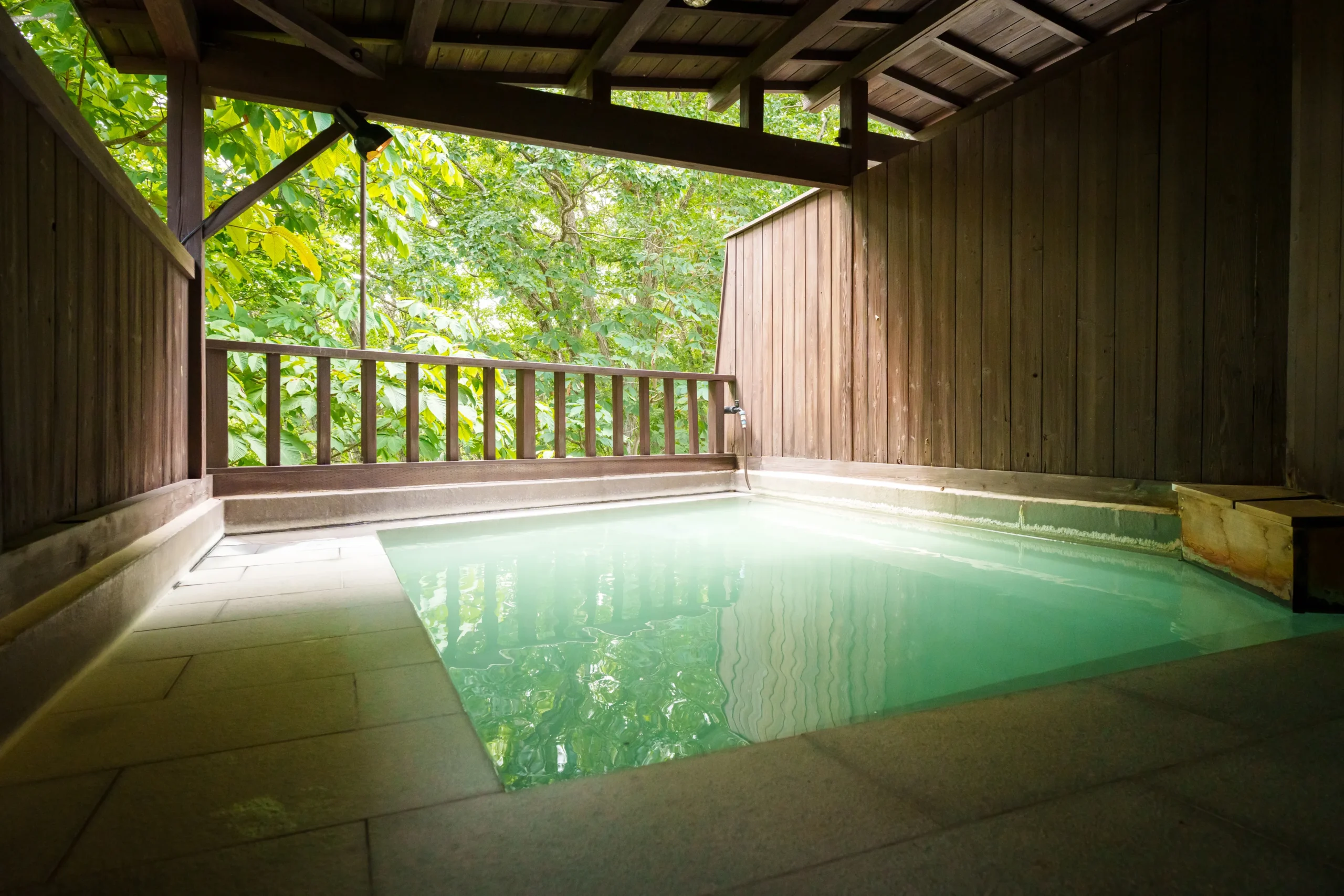 Room Only Plan – No Meals（Numajiri Plateau Lodge）