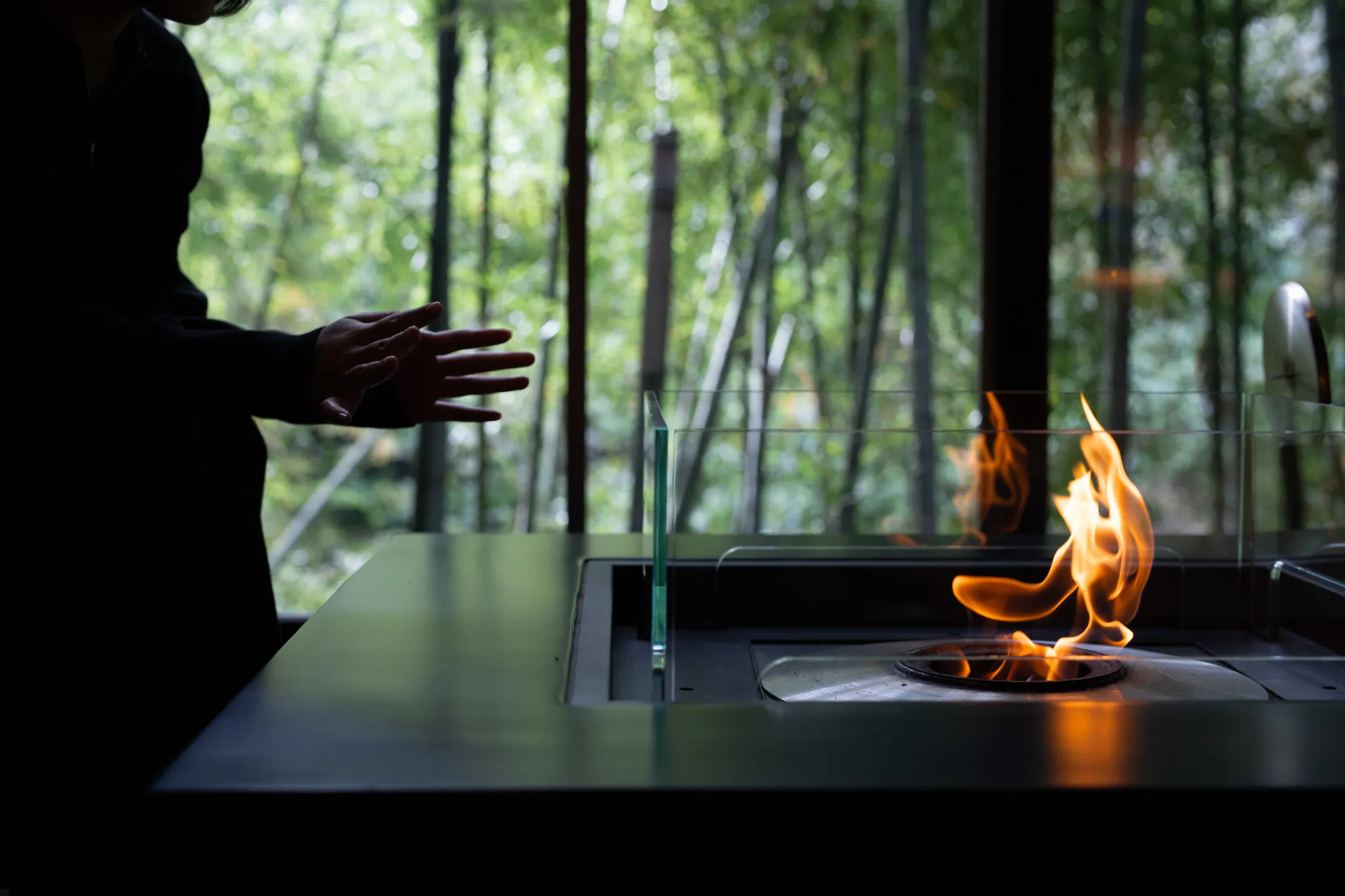 Bamboo Grove & Fire Pit