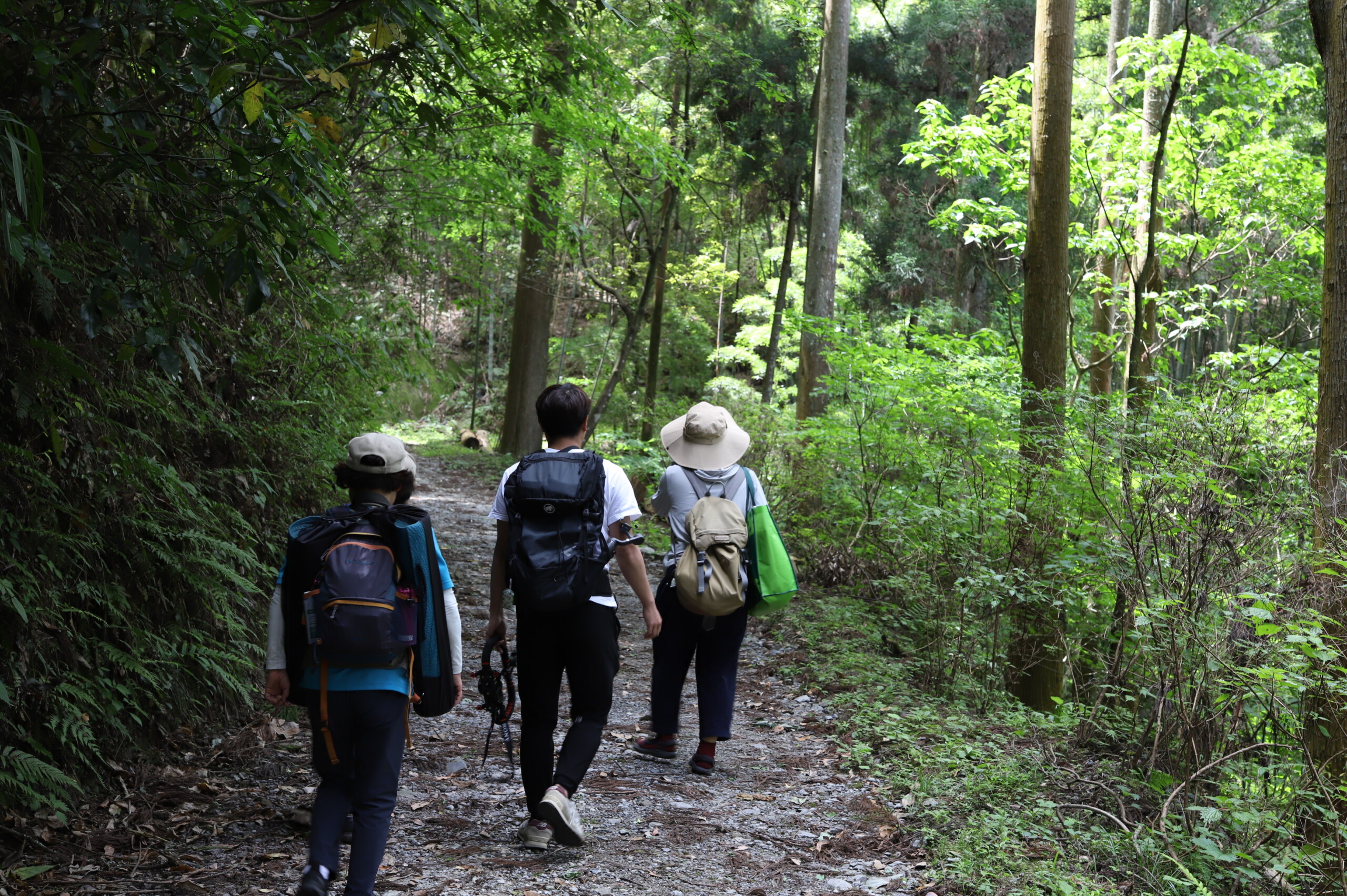  Ukiha City Forest Therapy
