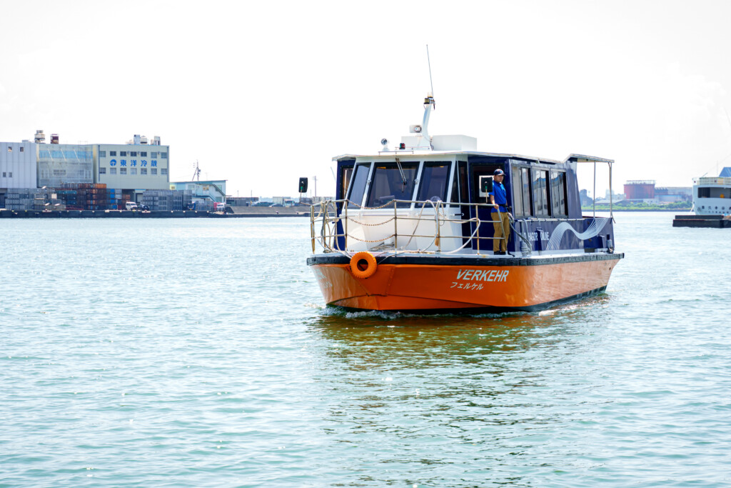 Mt. Fuji Shimizu Minato Cruise