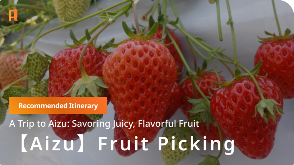 Aizu: The Luxury of Tasting Seasonal Bounties. A Food-Focused Aizu Trip Exploring Fruit Picking and Historic Hot Springs