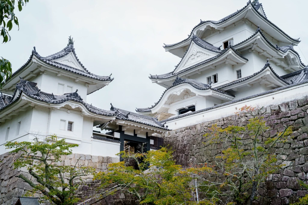 Iga Ueno Castle