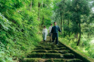 早餐前的鄉間散步