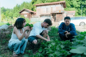 在後院採摘蔬菜