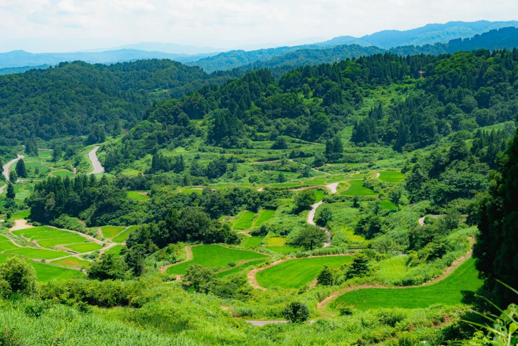 星峠梯田