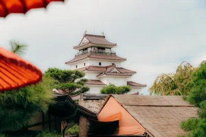 鶴之城（呈茶_麟閣・鶴之城内）