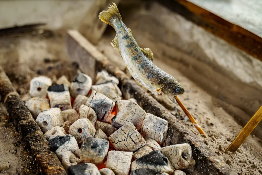 魚魚之里