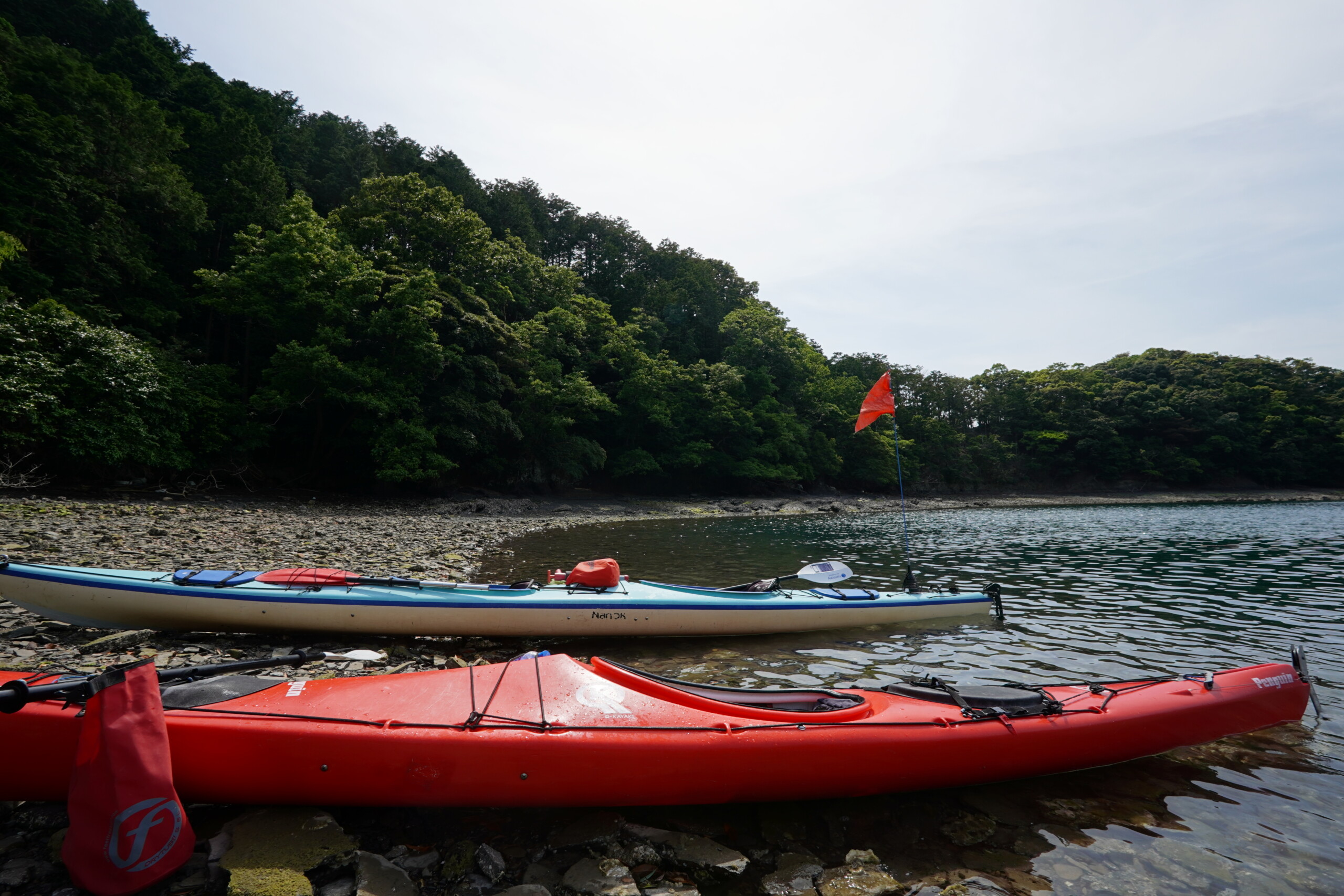 對馬生態之旅（海上獨木舟）