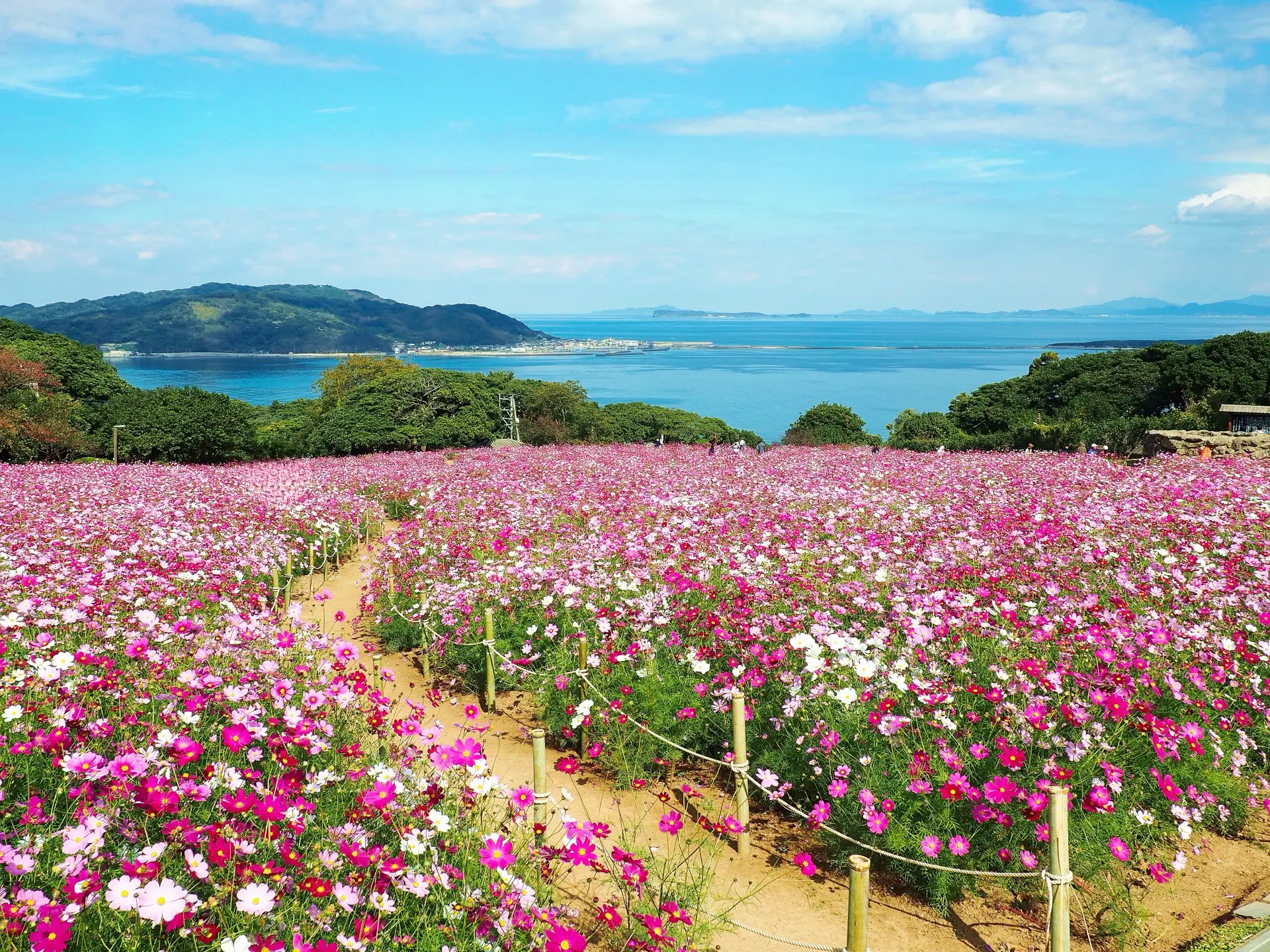 能古島