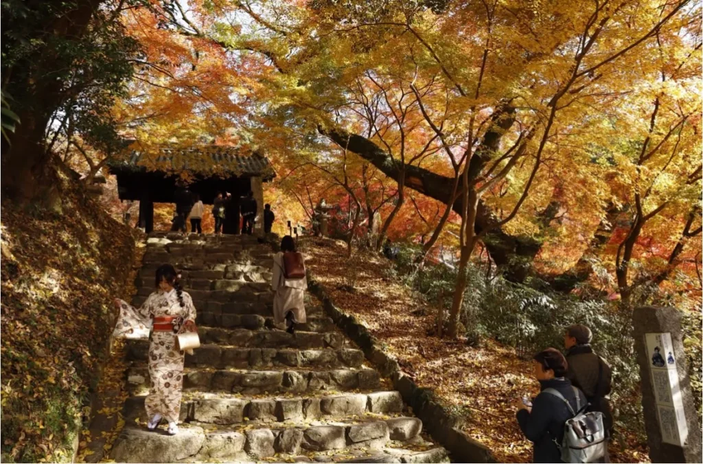紅葉