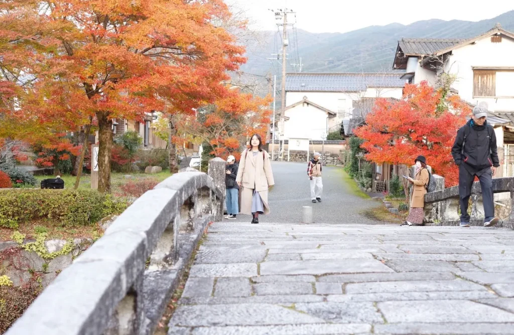 紅葉
